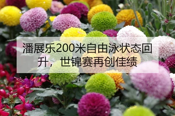 潘展乐200米自由泳状态回升，世锦赛再创佳绩