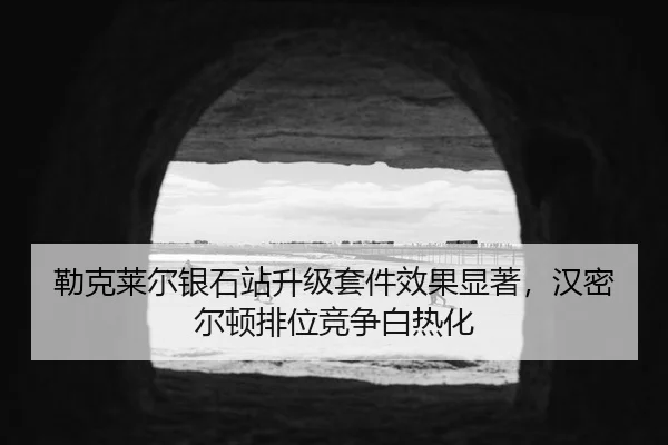 lei-ke-lai-er-yin-shi-zhan-sheng-ji-tao-jian-xiao-guo-xian-zhu-han-mi-er-dun-pai-wei-jing-zheng-bai-re-hua-3-612.jpg